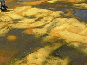 flat-roof-replacement-norfolk-virginia - The Roof Coating Company norfolk va flat roof replacement