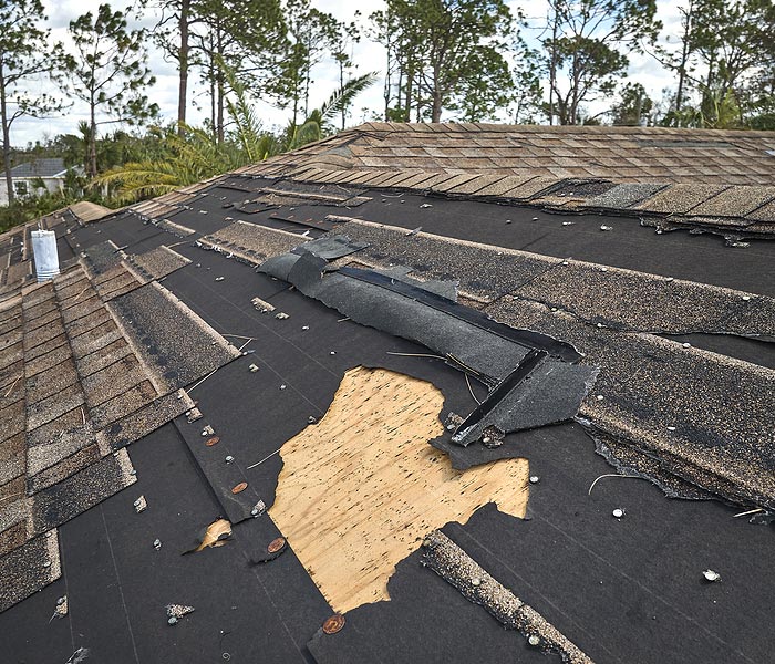 newport news roof repair company