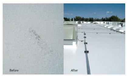 yorktown commercial roof coating companies